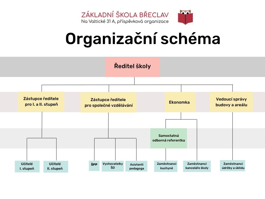 Organizační_struktura.jpg