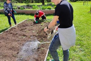 Sedmáci a jejich pracovní činnosti